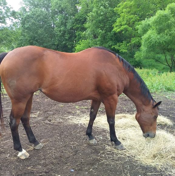 Meet your Posher, Vicki - Picture 1 of 1